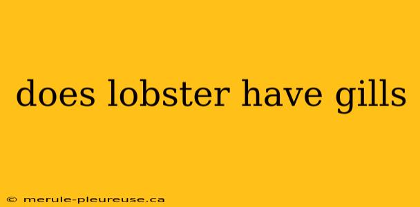 does lobster have gills