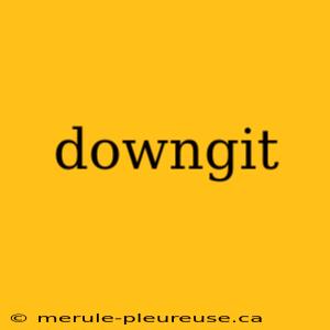 downgit