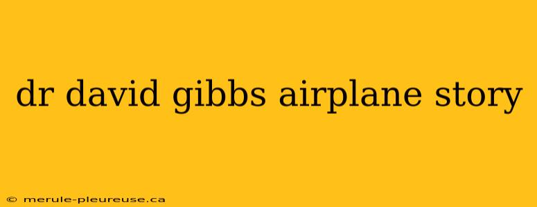 dr david gibbs airplane story