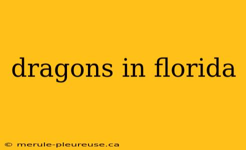 dragons in florida