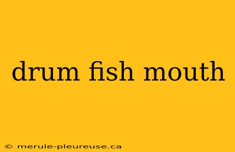 drum fish mouth