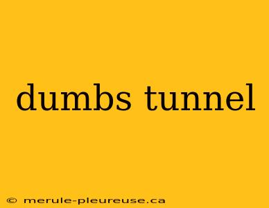 dumbs tunnel