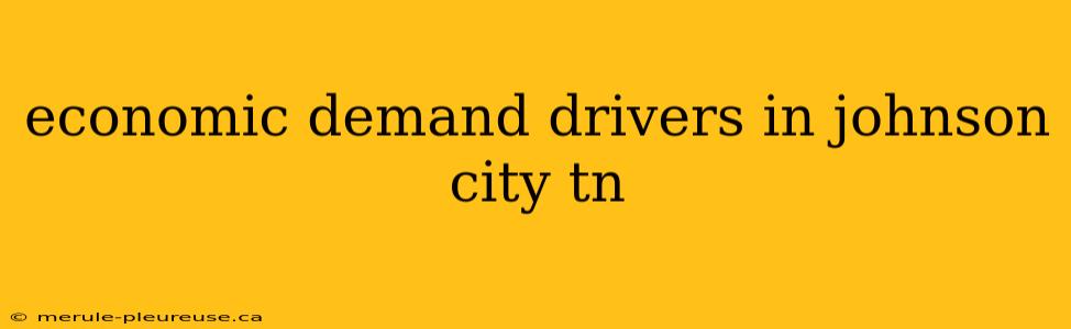 economic demand drivers in johnson city tn