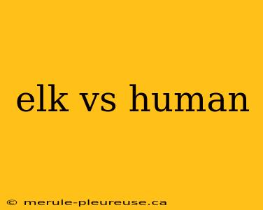 elk vs human