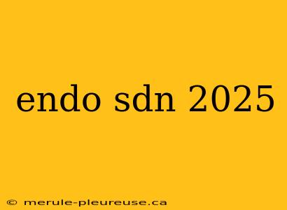 endo sdn 2025