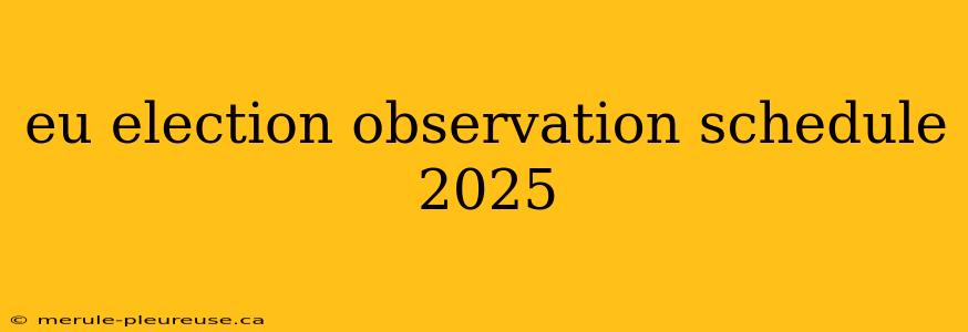 eu election observation schedule 2025