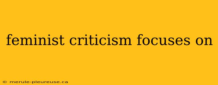 feminist criticism focuses on