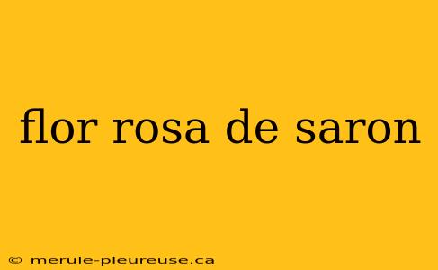 flor rosa de saron