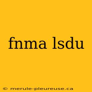 fnma lsdu