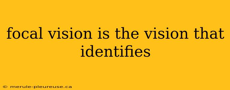 focal vision is the vision that identifies