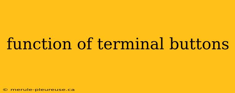 function of terminal buttons