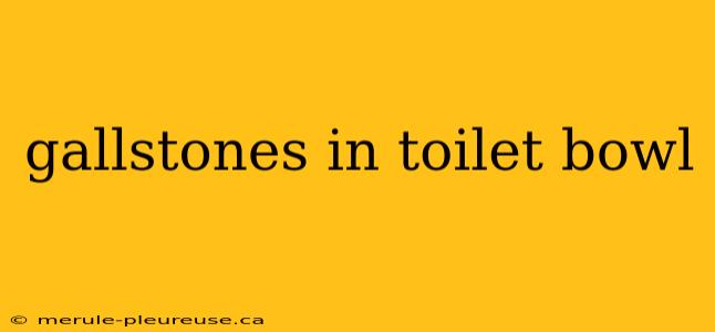 gallstones in toilet bowl