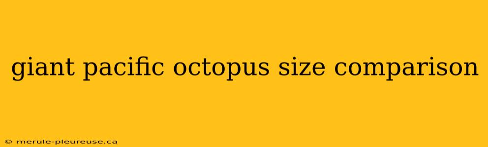 giant pacific octopus size comparison