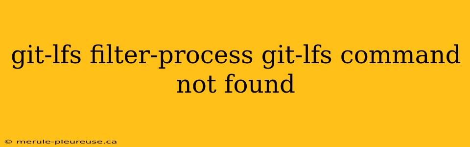 git-lfs filter-process git-lfs command not found