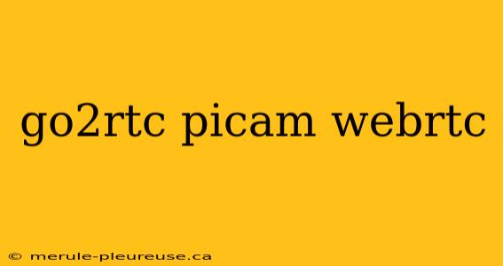 go2rtc picam webrtc