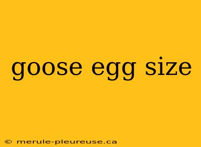 goose egg size