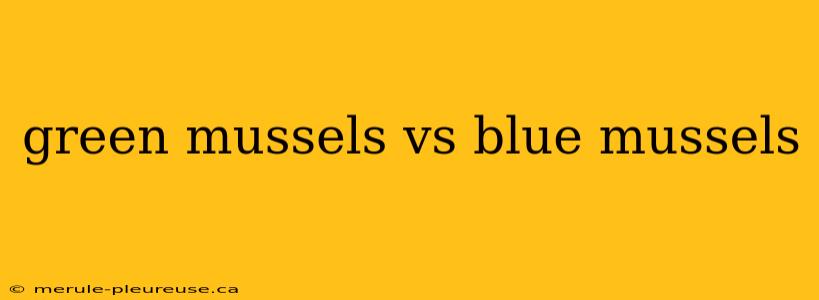 green mussels vs blue mussels