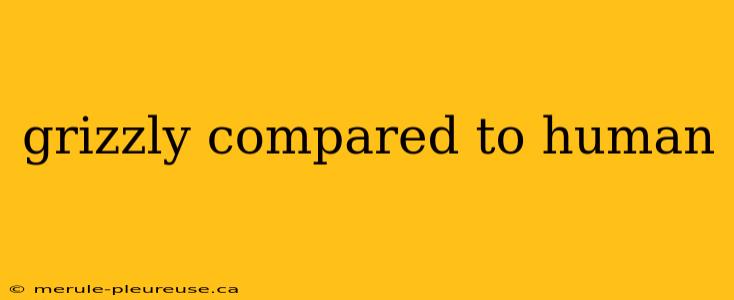 grizzly compared to human