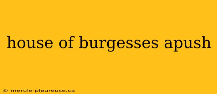 house of burgesses apush