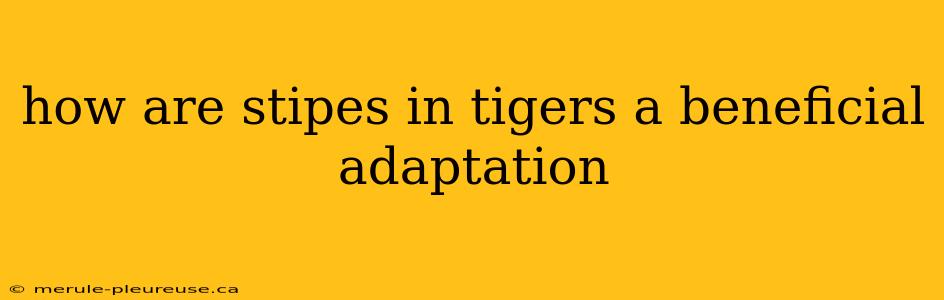 how are stipes in tigers a beneficial adaptation