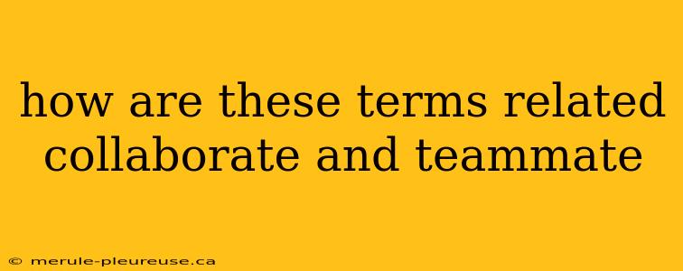 how are these terms related collaborate and teammate