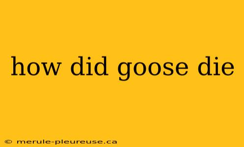 how did goose die