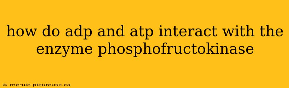 how do adp and atp interact with the enzyme phosphofructokinase