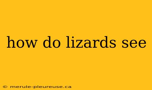 how do lizards see