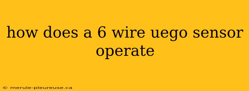 how does a 6 wire uego sensor operate