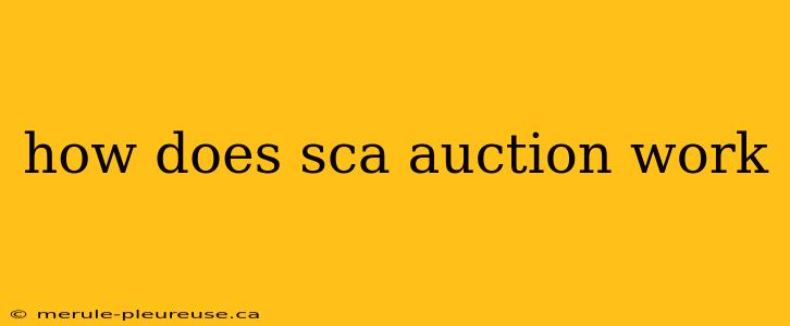 how does sca auction work