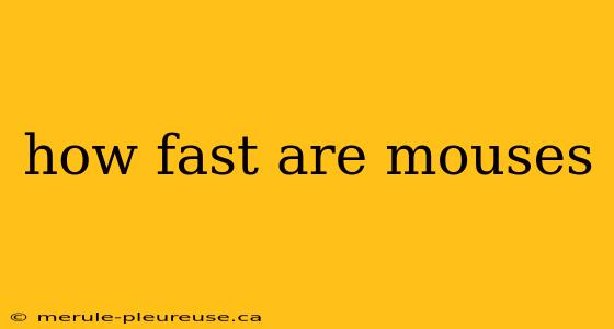 how fast are mouses