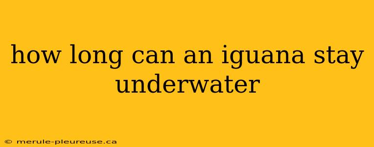 how long can an iguana stay underwater