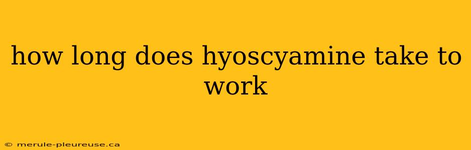 how long does hyoscyamine take to work