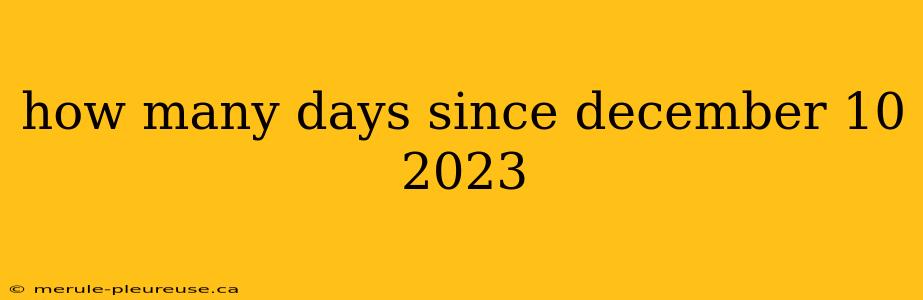 how many days since december 10 2023