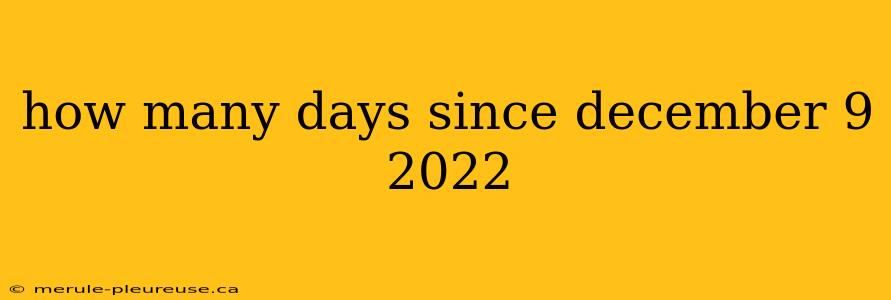 how many days since december 9 2022