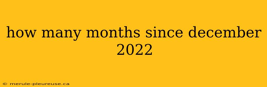 how many months since december 2022