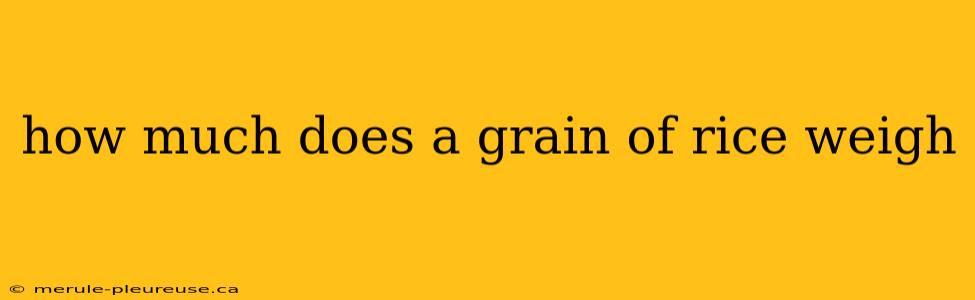 how much does a grain of rice weigh