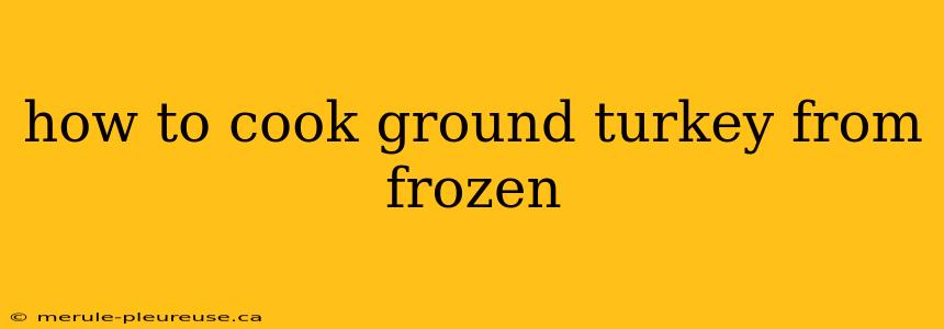 how to cook ground turkey from frozen