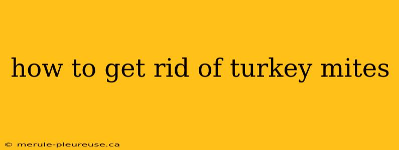 how to get rid of turkey mites