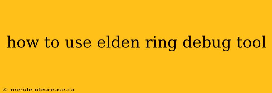 how to use elden ring debug tool