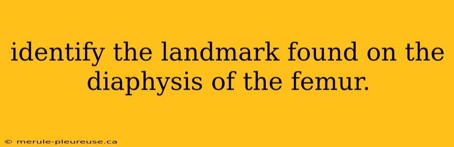 identify the landmark found on the diaphysis of the femur.