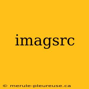 imagsrc