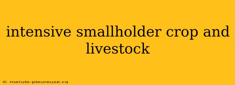 intensive smallholder crop and livestock