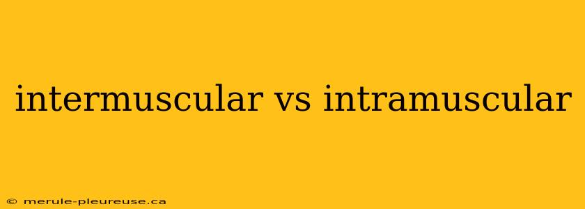 intermuscular vs intramuscular