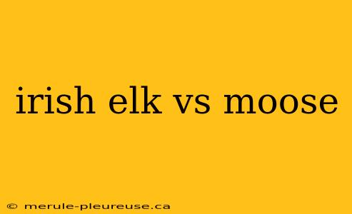 irish elk vs moose