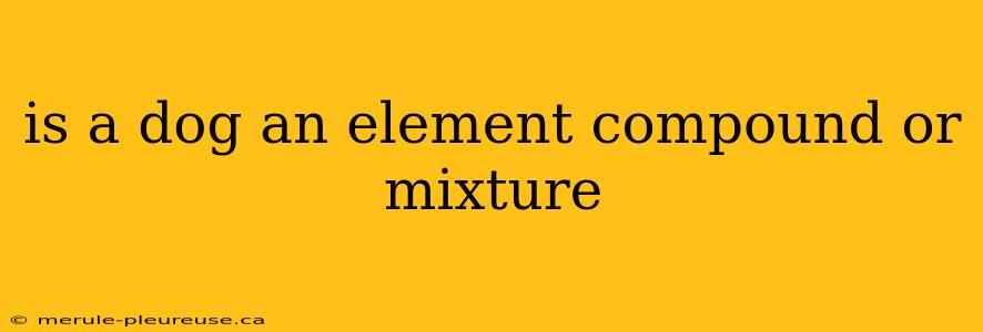 is a dog an element compound or mixture