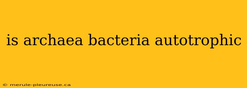 is archaea bacteria autotrophic