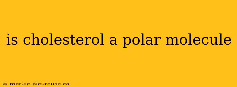 is cholesterol a polar molecule