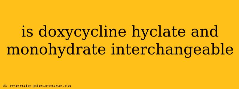 is doxycycline hyclate and monohydrate interchangeable