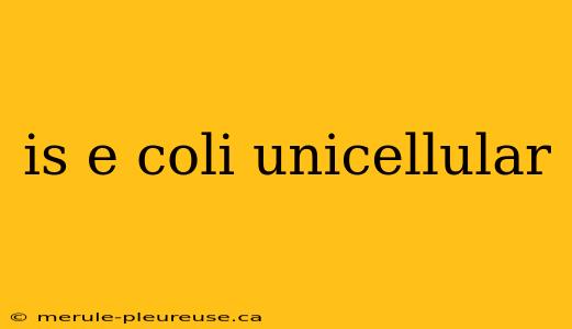 is e coli unicellular